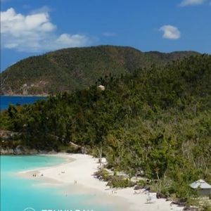 Meet your Posher, Daisy